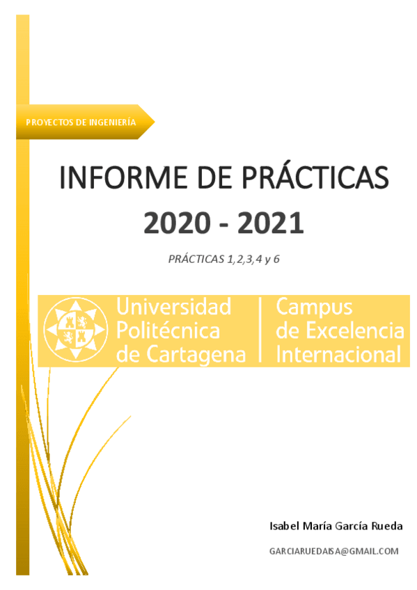 Miniatura del documento INFORME.pdf