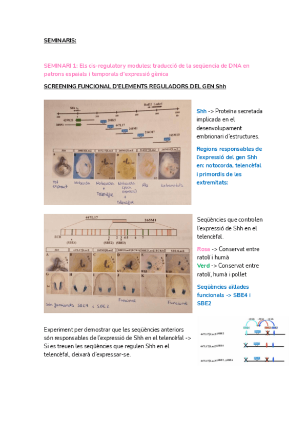 Miniatura del documento SEMINARIS-BMCIII.pdf