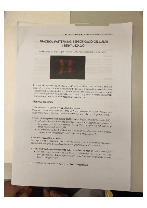 Miniatura del documento Practica.pdf