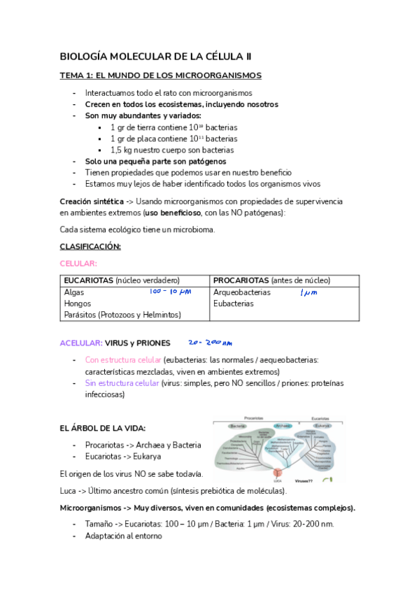 Miniatura del documento BIOLOGIA-MOLECULAR-DE-LA-CELULA-II-T1-3.pdf