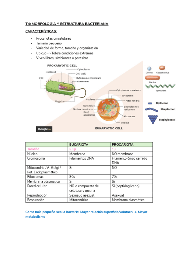 Miniatura del documento BIOLOGIA-MOLECULAR-DE-LA-CELULA-II-T4.pdf