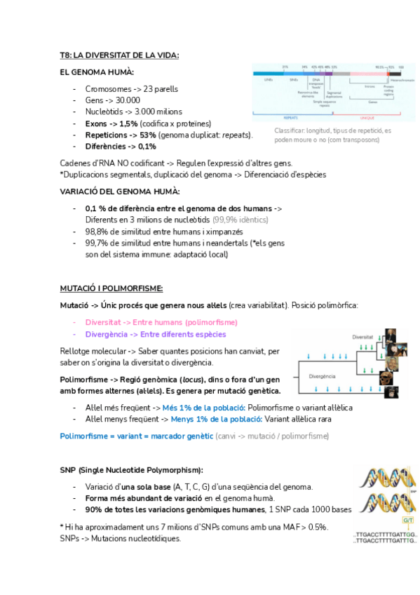 Miniatura del documento BIOLOGIA-MOLECULAR-DE-LA-CELULA-II-T8-9.pdf