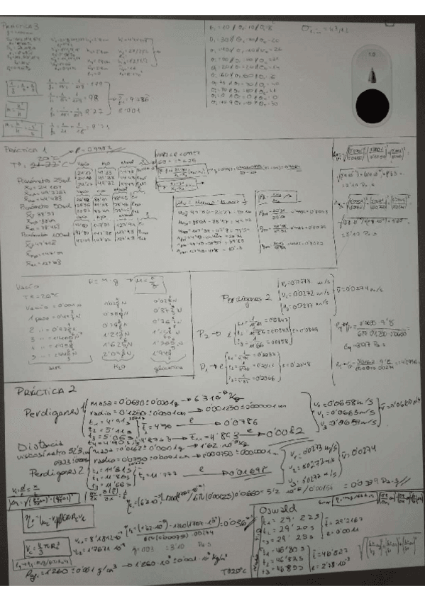Miniatura del documento practicas-fisica.pdf