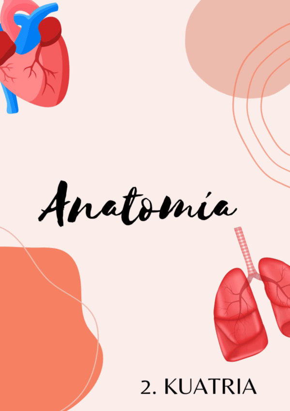 Miniatura del documento 2-cuatri-y-practicas-anato.pdf