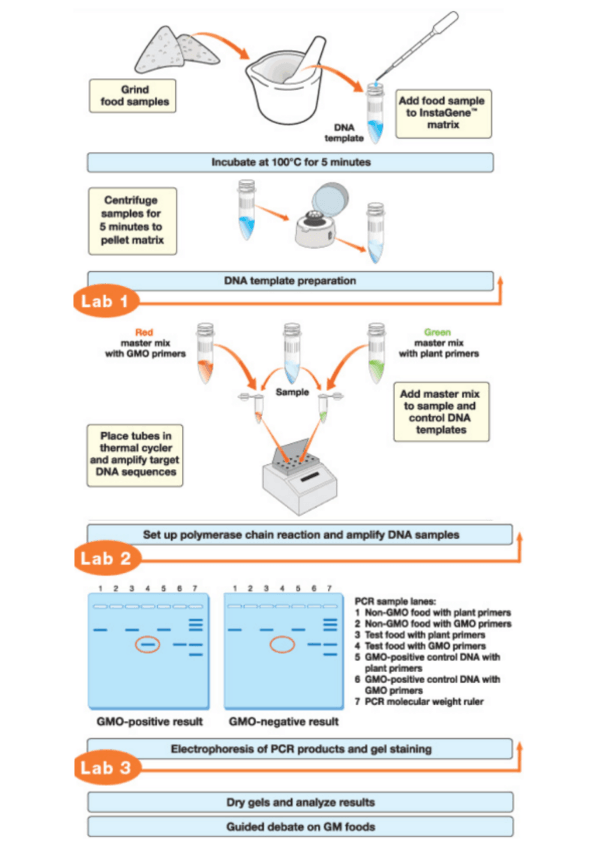 Miniatura del documento PRACTICAS-3-5-VEGETAL.pdf