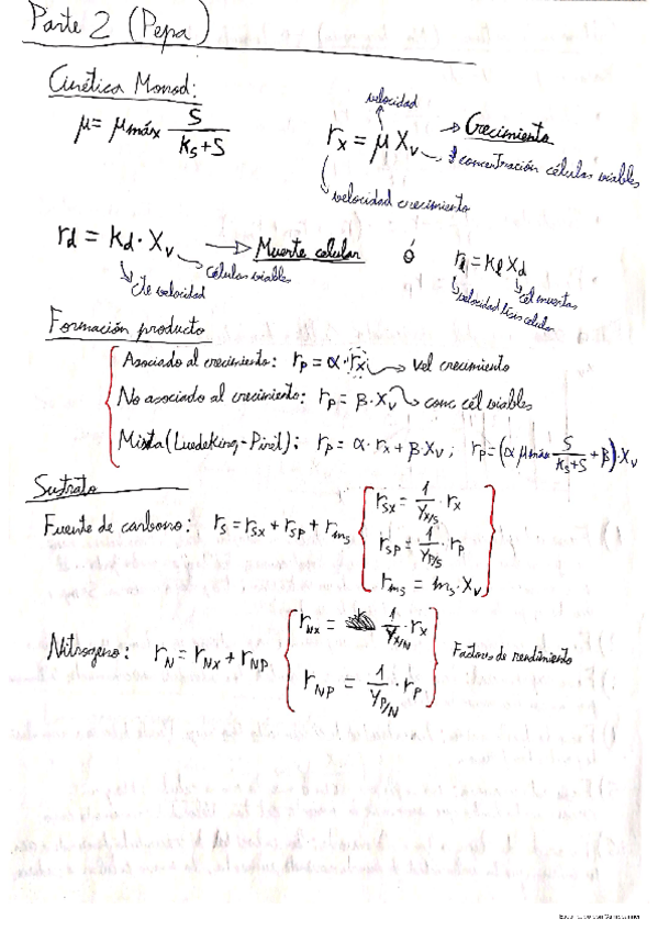 Miniatura del documento Apuntes-y-preguntas-examen-parte-Pepa.pdf