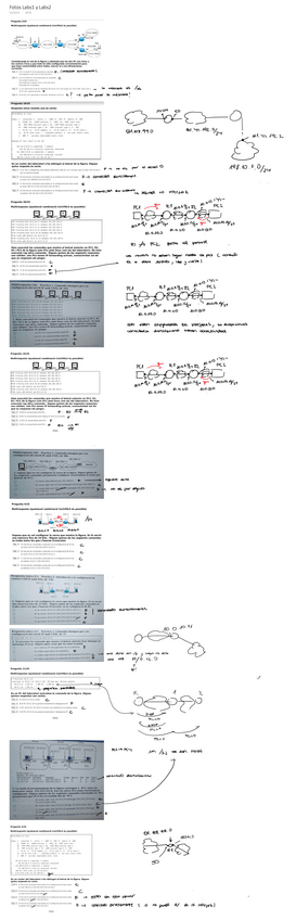 Miniatura del documento Fotos-Cuestionaros-Labs-1-y-2.pdf