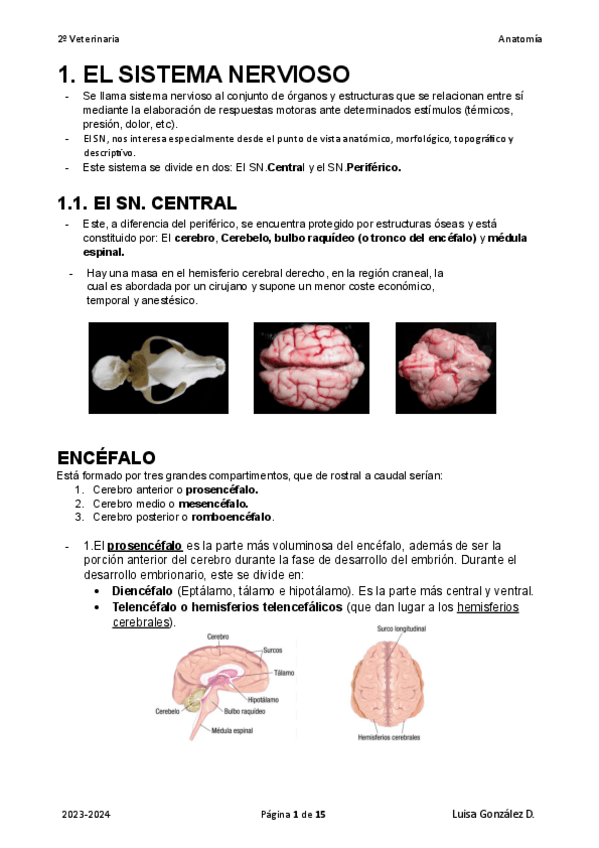 Miniatura del documento 1.-EL-SISTEMA-NERVIOSO.pdf