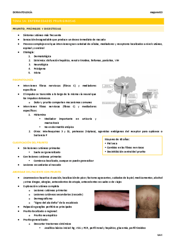 Miniatura del documento Tema-14-Enfermedades-pruriginosas.pdf