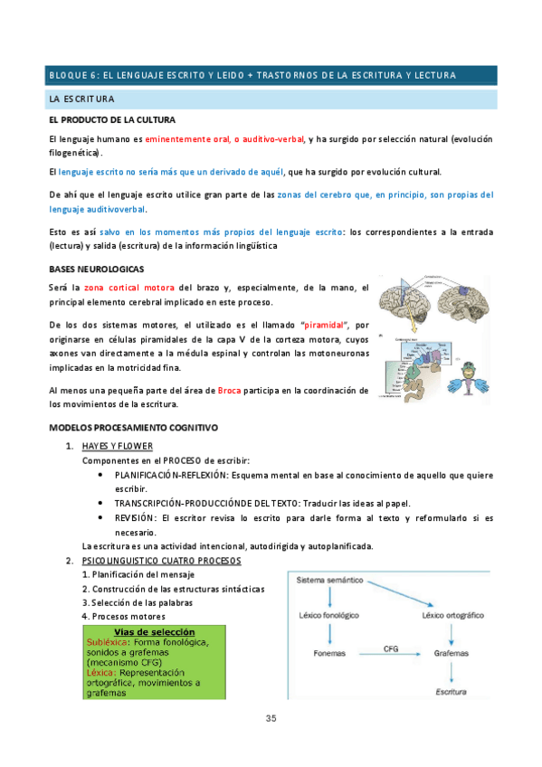 Miniatura del documento BLOQUES-6-Y-7.pdf