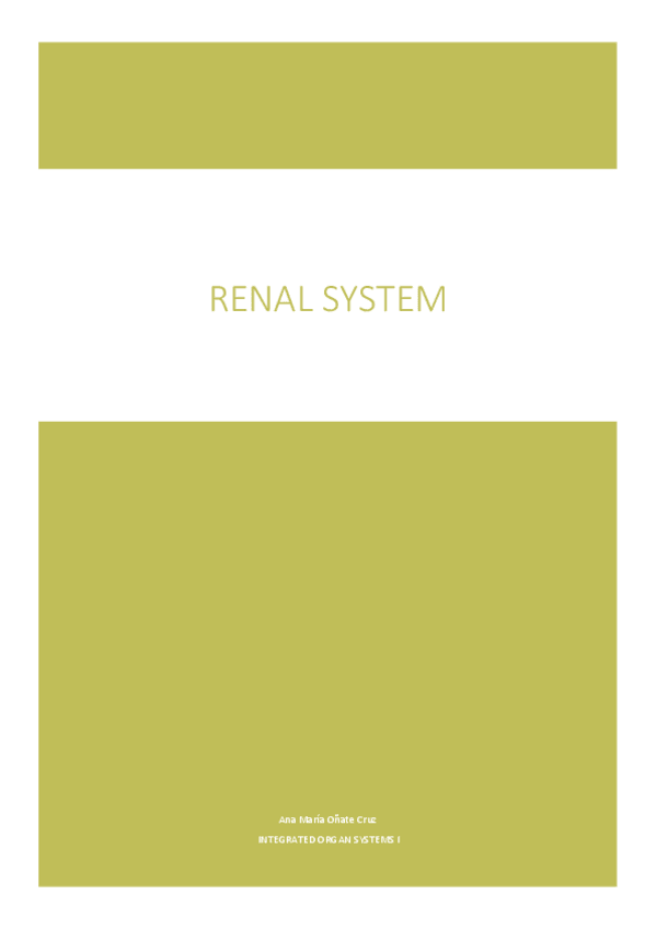 Miniatura del documento Renal-system.pdf