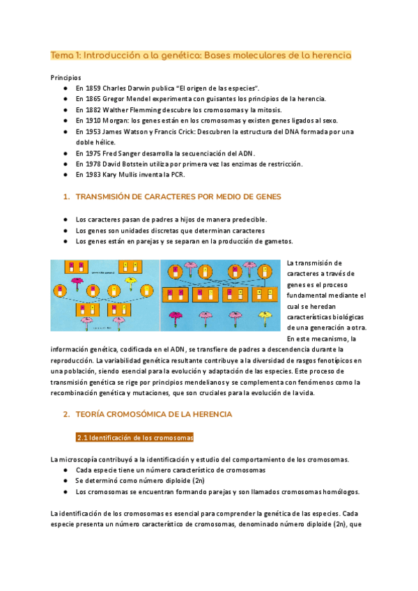 Miniatura del documento Tema-1-Introduccion-a-la-genetica-Bases-moleculares-de-la-herencia.pdf
