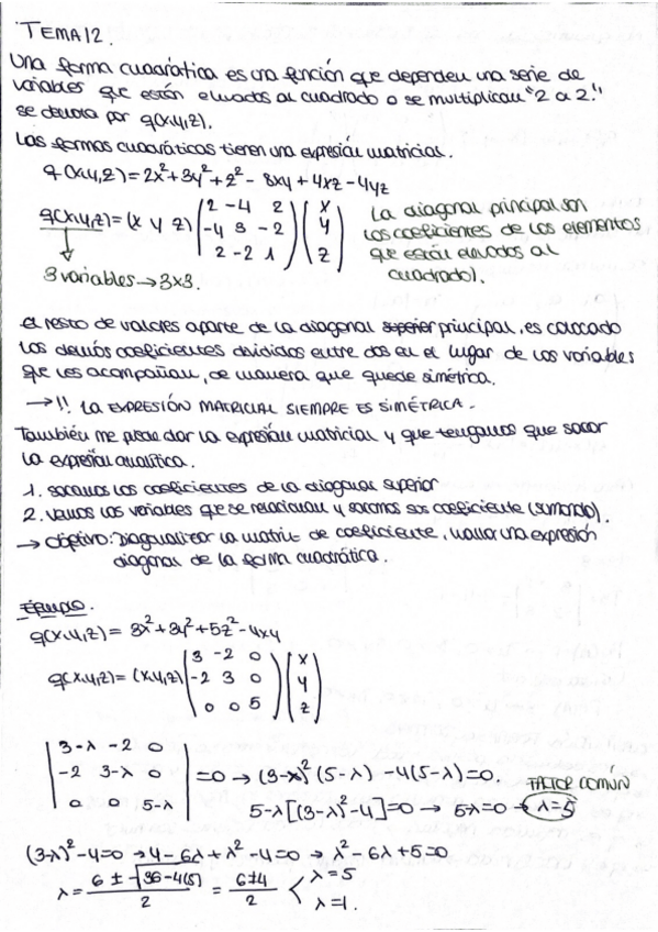 Miniatura del documento Ejercicios-y-Teoria-Tema-12.pdf