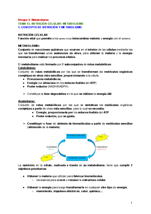 Miniatura del documento Bloque-3.-Metabolismo.pdf