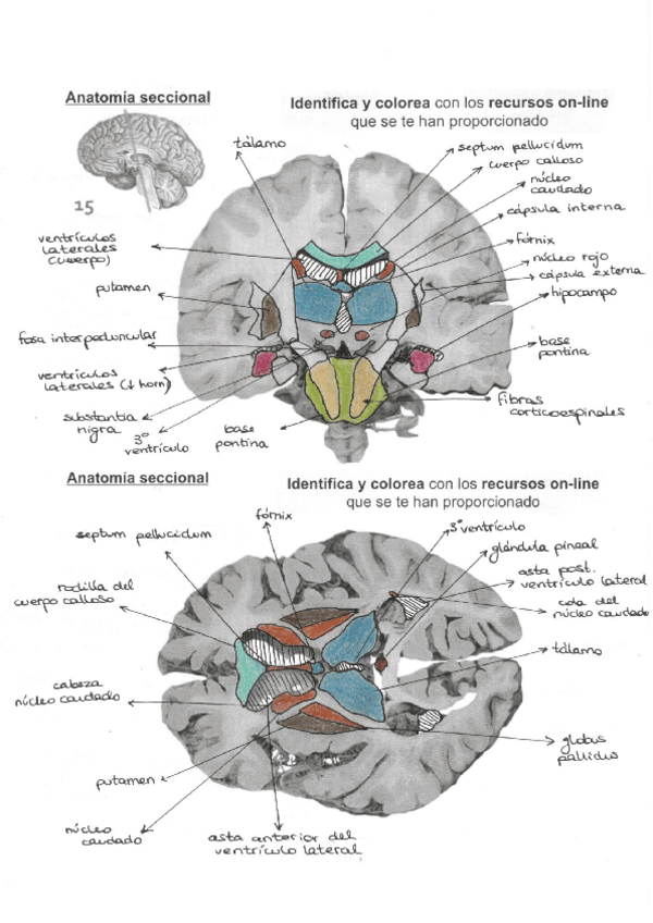 Miniatura del documento Ejercicio-Examen-2024.pdf