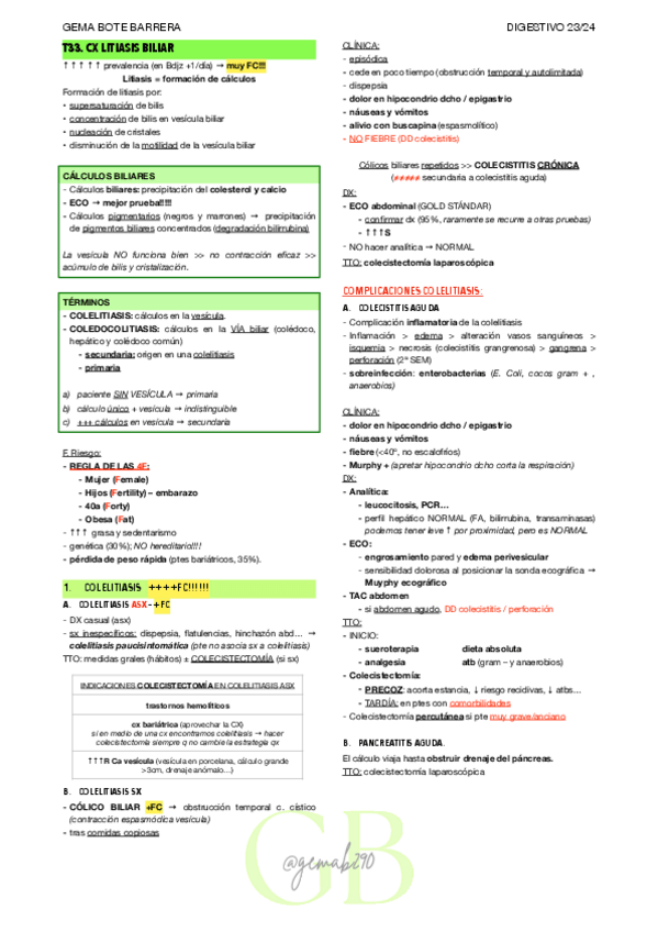 Miniatura del documento RESUMEN-T33-DIGEST.pdf