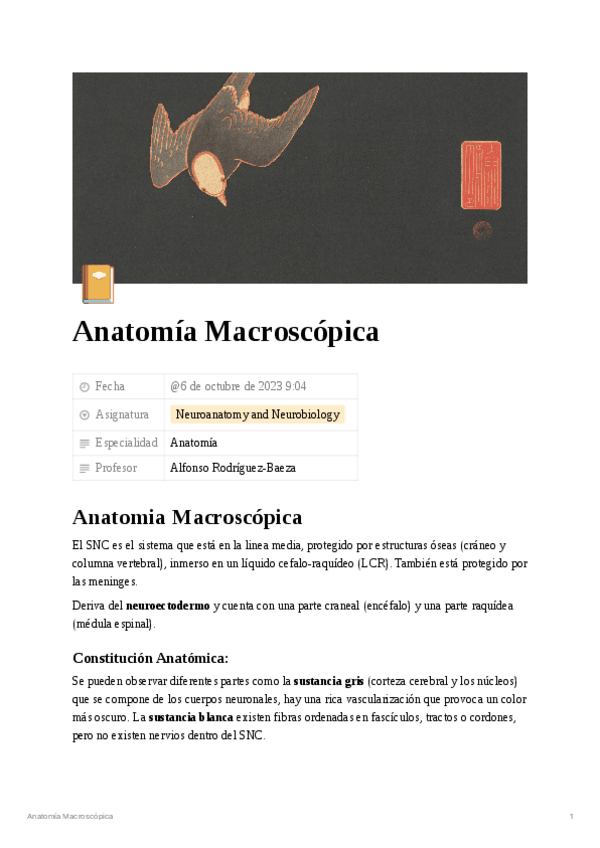 Miniatura del documento Anatomia-Macroscopica-27cb158c736548fcb1c2efe530c9d6e8.pdf