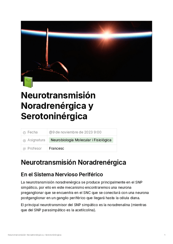 Miniatura del documento Neurotransmision-Noradrenergica-y-Serotoninergi-767cea2077b948a7b749e6d8b8e73f77.pdf