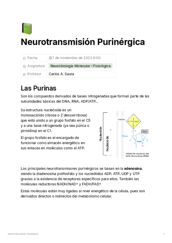Miniatura del documento Neurotransmision-Purinergica-49d39c3d3f66457d9b6b3fbd0871b500.pdf