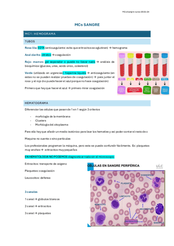 Miniatura del documento MCs-Sangre-2023-2024.pdf