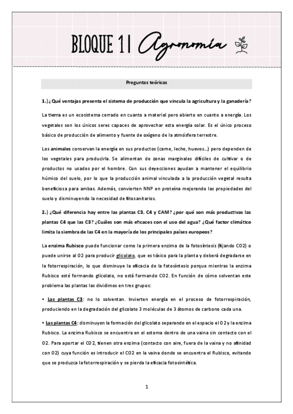 Miniatura del documento Primer-parcial-Preguntas-de-desarrollo.pdf