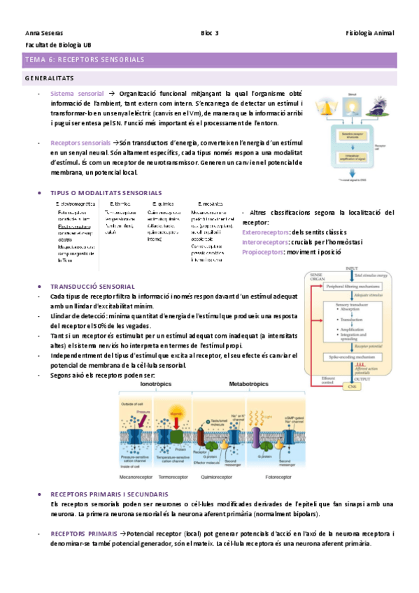 Miniatura del documento Bloc-3Recepcio-i-integracio-sensorial.pdf