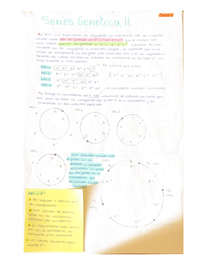 Miniatura del documento Series-genetica-II-1-5.pdf