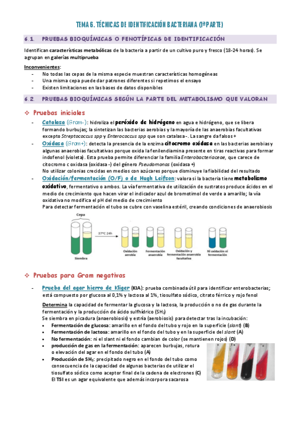 Miniatura del documento Super-resumen-T6-1.pdf