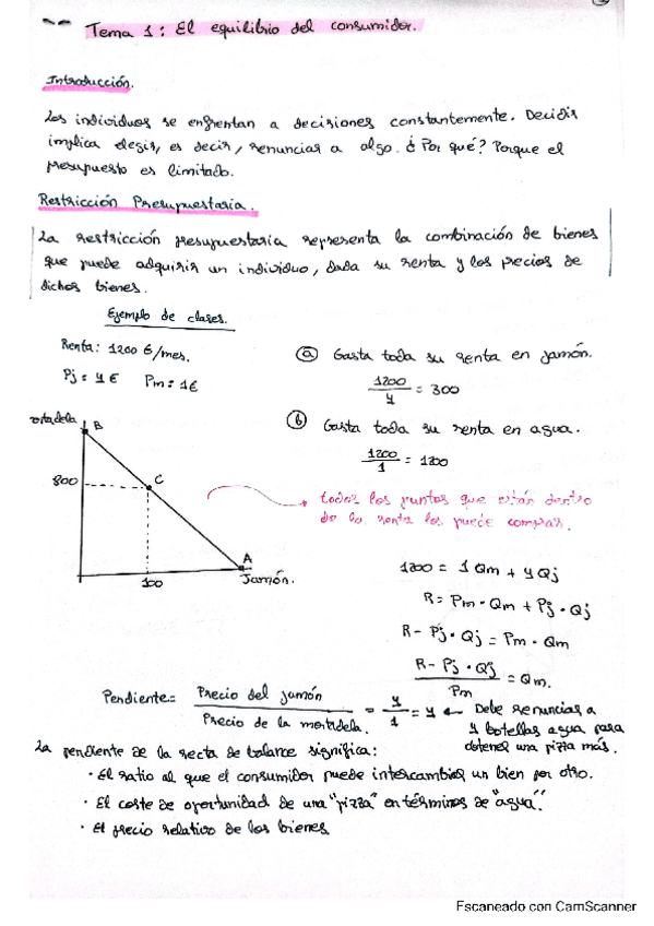 Miniatura del documento Tema-1-El-equilibrio-del-consumidor.pdf