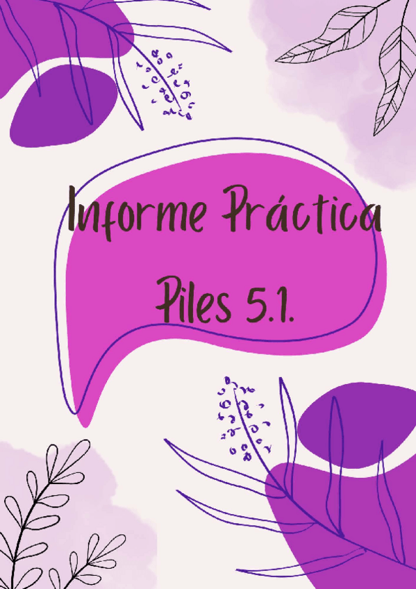 Miniatura del documento Informe-Practica-Piles-5.1.pdf