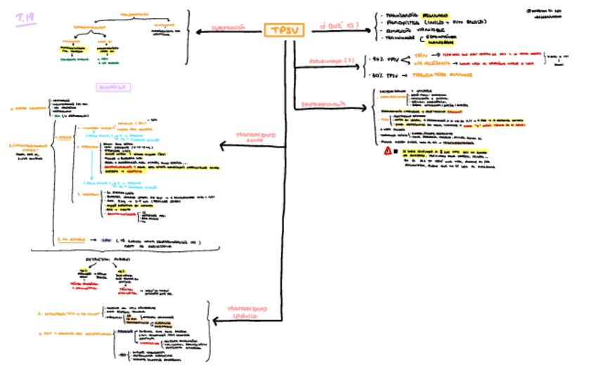 Miniatura del documento TEMA-19-RESUMEN.pdf