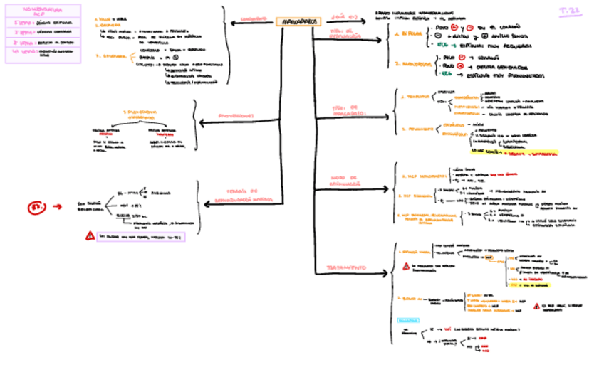 Miniatura del documento TEMA-22.pdf