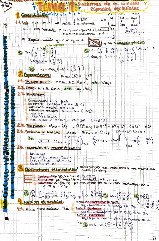 Miniatura del documento Apuntes-Completos-Tema-1-Sistemas-de-ec.lineales-y-espacios-vectoriales.pdf