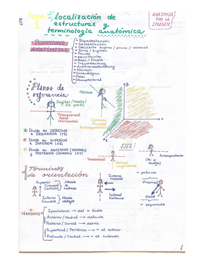 Miniatura del documento Tema-1-AI-localizacion-de-estructuras-y-terminologia-anatomica.pdf