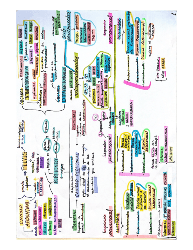 Miniatura del documento RA-5.-AI-Cavidad-abdominal-y-aparato-digestivo.pdf