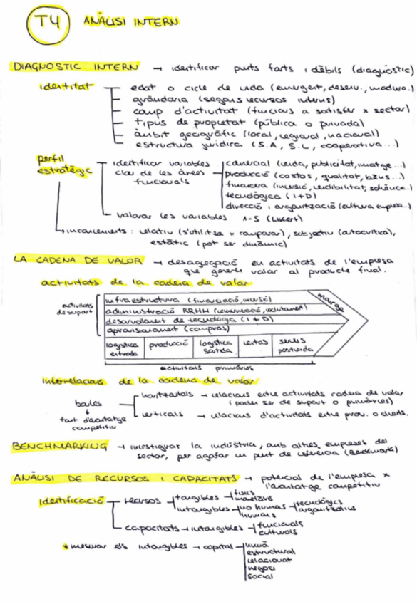 Miniatura del documento Tema-4.-Analisi-intern.pdf