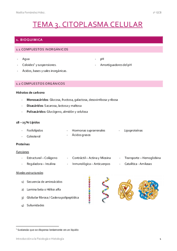 Miniatura del documento T3.-Citoplasma-Celular.pdf