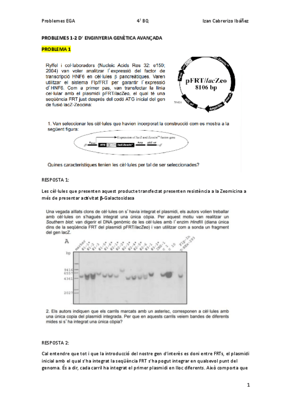 Miniatura del documento Problemes12ResoltsIzanCabrerizoIbanez.pdf