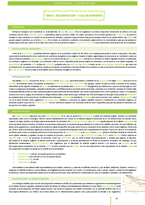 Miniatura del documento Apuntes-ECO1-36-39.pdf