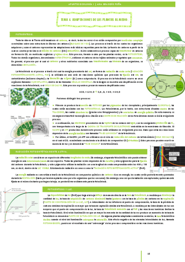 Miniatura del documento Apuntes-ECO1-16-22.pdf
