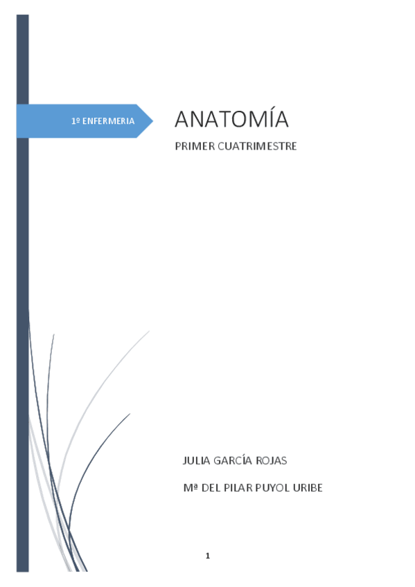 Miniatura del documento ANATOMIA APUNTES.pdf