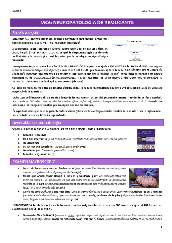 Miniatura del documento MC6.pdf