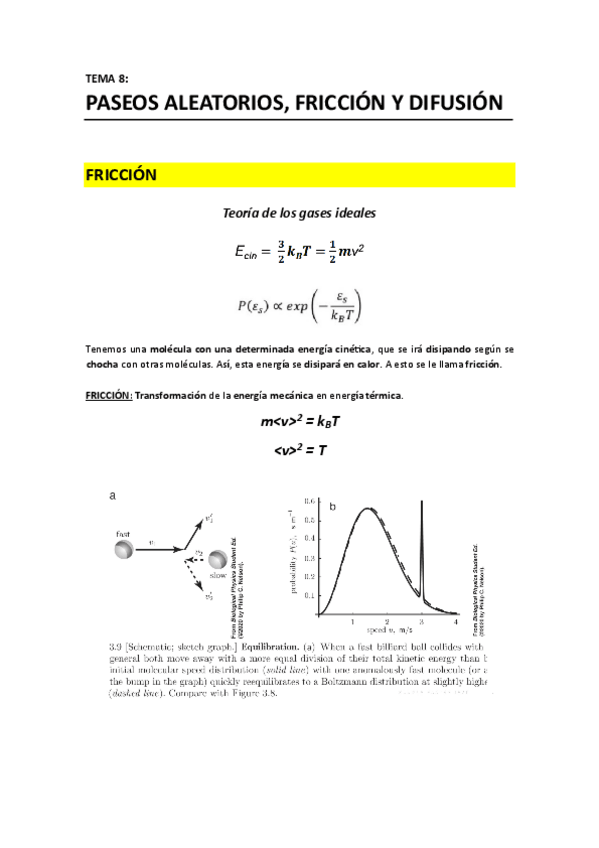 Miniatura del documento T8 - Paseos aleatorios friccion y difusion.pdf