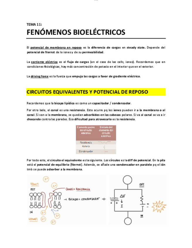 Miniatura del documento T11 - Fenomenos bioelectricos.pdf