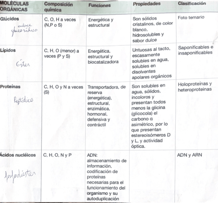 Miniatura del documento Tabla-resumen.jpeg