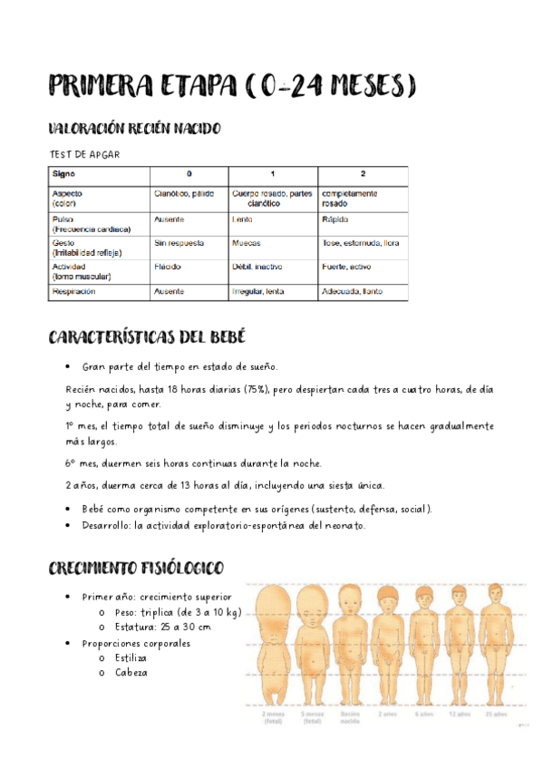 Miniatura del documento PRIMERA-ETAPA.pdf