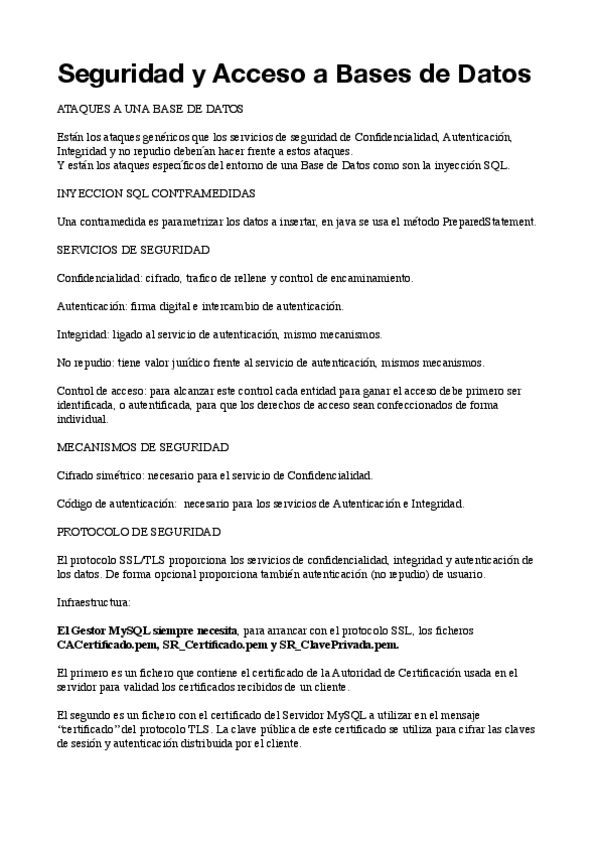 Miniatura del documento Apuntesseguridad.pdf