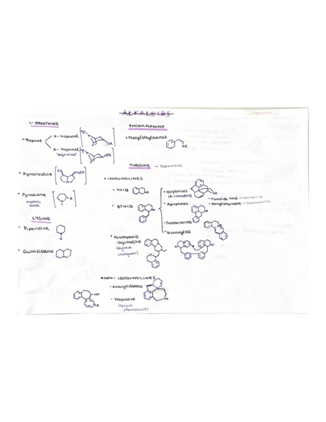 Miniatura del documento MacroEsquema-alkaloids.pdf