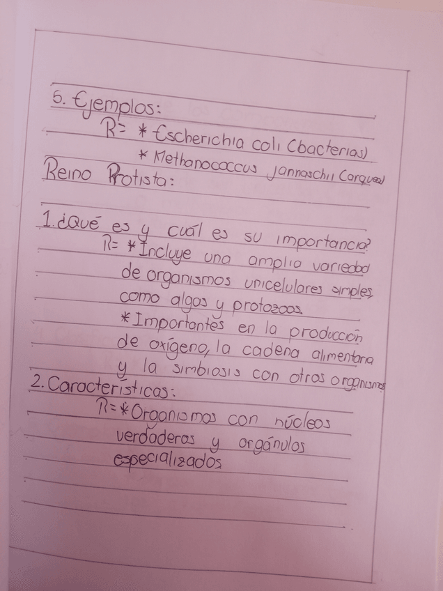 Miniatura del documento IMG20240730140923.jpg