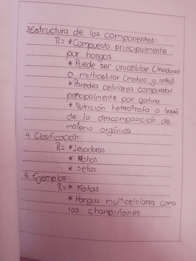 Miniatura del documento IMG20240730140931.jpg